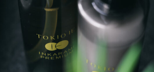 TOKIO INKARAMI – WHAT IS IT?