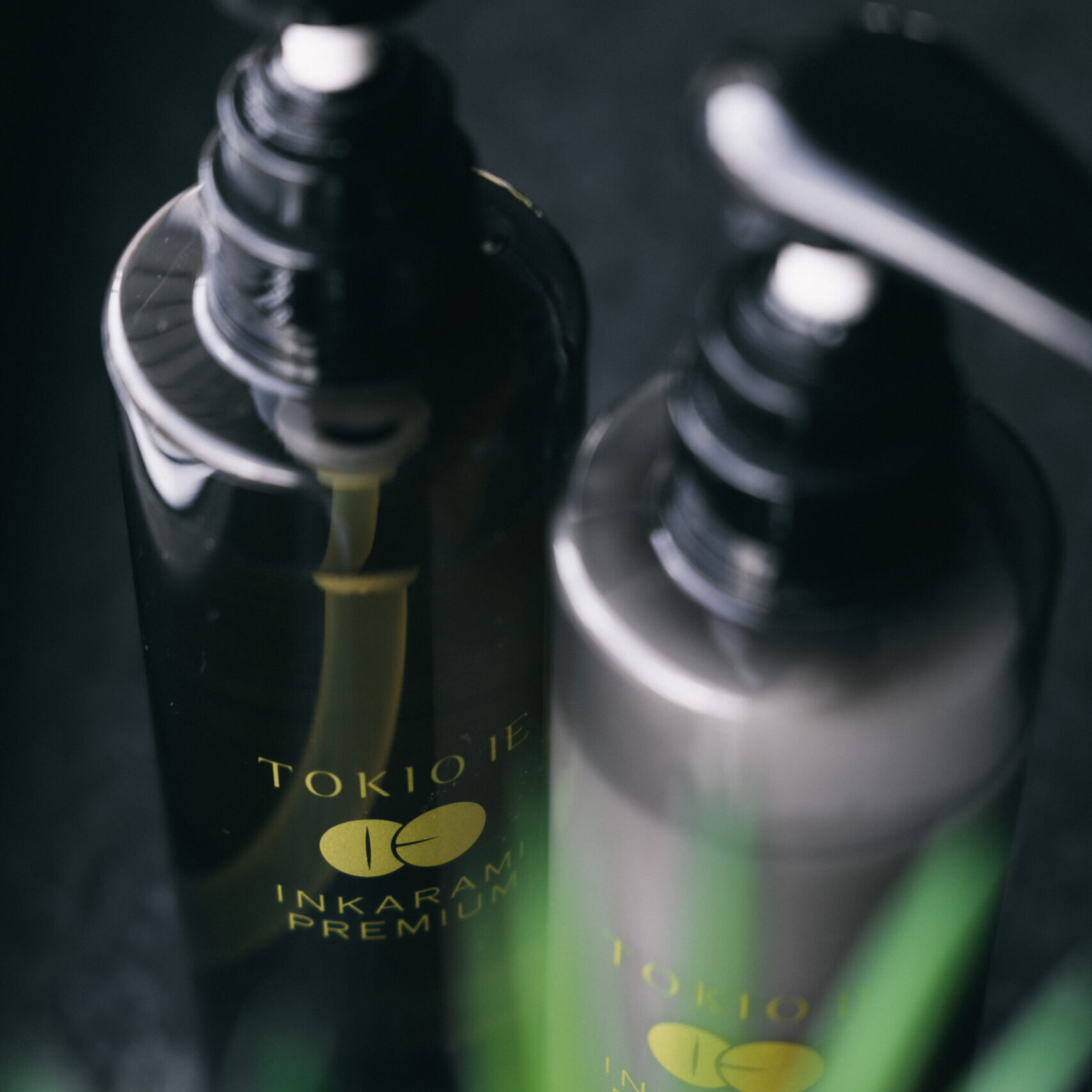 TOKIO INKARAMI – KAS TAI?